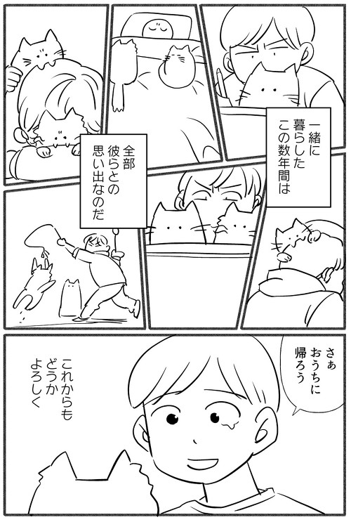 猫たちへの想いがあふれた 漫画 生き物 暮らし 別れ ねこ 秀