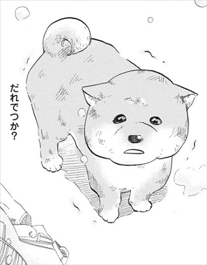 柴ばあと豆柴太