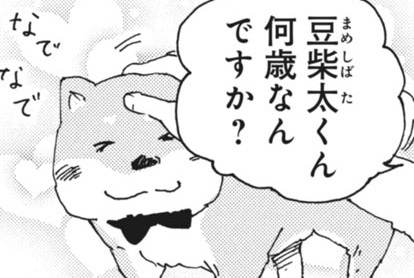 柴ばあと豆柴太