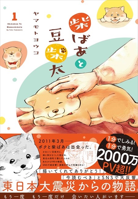 柴ばあと豆柴太