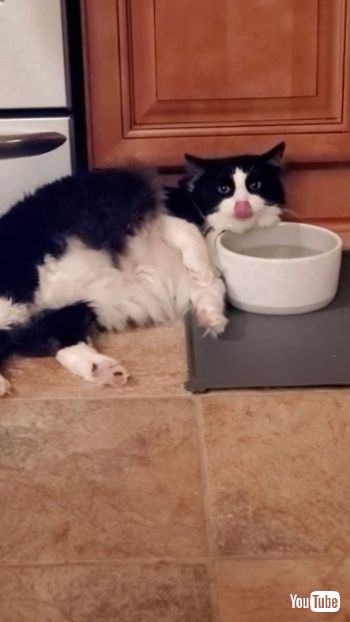  Lays Down for a Drink