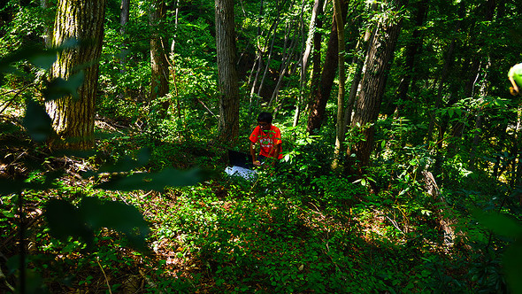 NECワーケーション