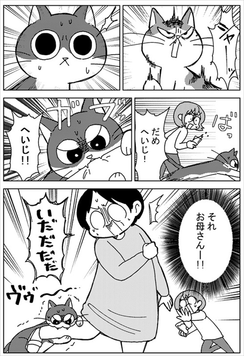 ボス猫・ちゃ太郎くん襲来