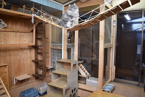 新玉旅館のクラウドファンディング