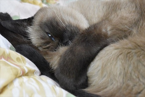 新玉旅館のクラウドファンディング