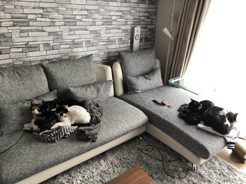 パジャマトラップ