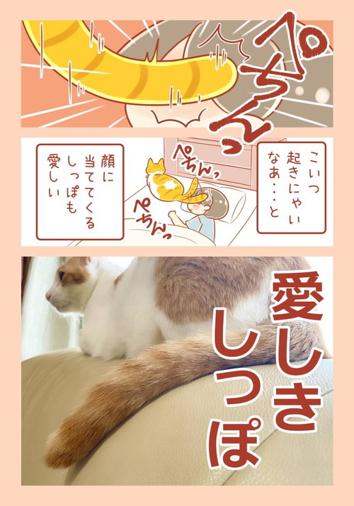 ユズちゃんのしっぽ