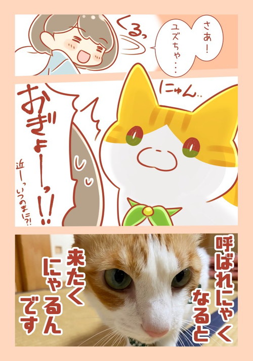 「天邪鬼にゃんこさん」