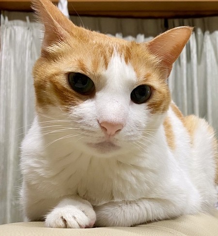 ユズちゃんです