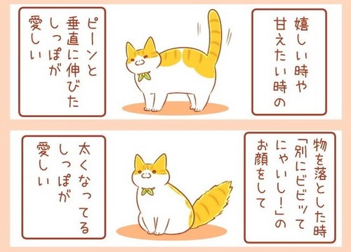 ユズちゃんのしっぽ