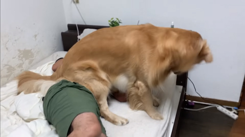 パパさんの上に座るジョイくん横から