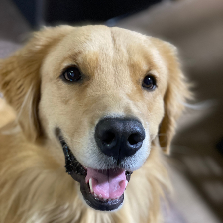 笑顔のジョイくん