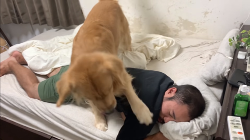 前足をパパさんにかけるジョイくん