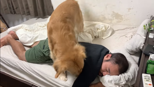 わきに顔をつっこむジョイくん