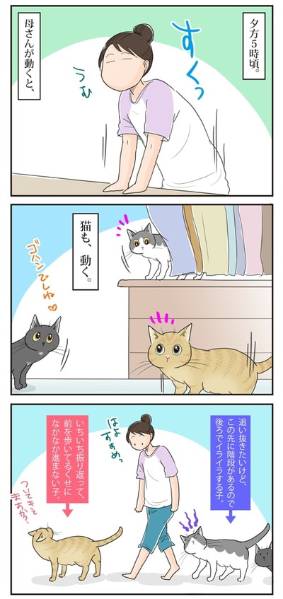 強行突破でし