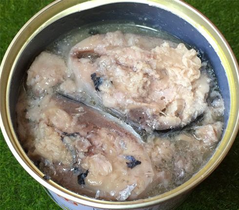 サバ子さんサバ缶レビュー