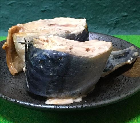 サバ子さんサバ缶レビュー