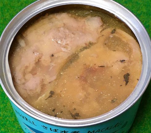 サバ子さんサバ缶レビュー
