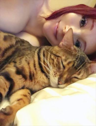 叶姉妹 ベンガルキャット ファビュラス君 猫 ペット 叶美香 叶恭子