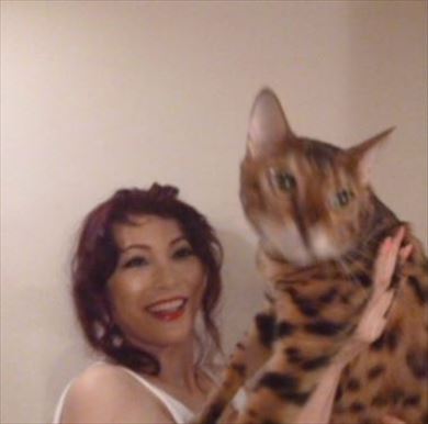 叶姉妹 ベンガルキャット ファビュラス君 猫 ペット 叶美香 叶恭子