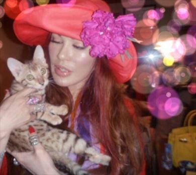 叶姉妹 ベンガルキャット ファビュラス君 猫 ペット 叶美香 叶恭子