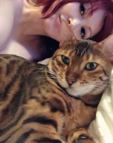 叶姉妹 ベンガルキャット ファビュラス君 猫 ペット 叶美香 叶恭子