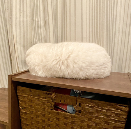 ねこ