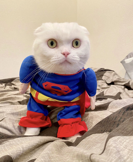 スーパーむくくん