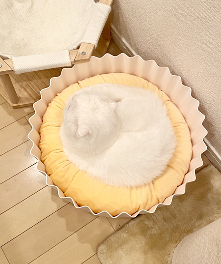 生クリームむくくん