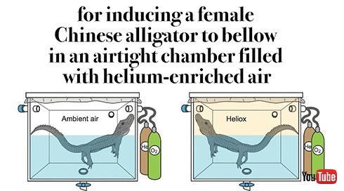 「ワニもヘリウムガスを吸うと声が変わる」　京大准教授がイグノーベル賞を受賞