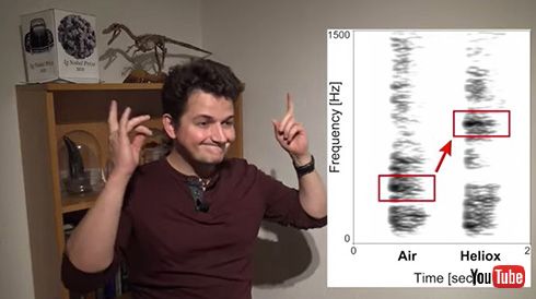 「ワニもヘリウムガスを吸うと声が変わる」　京大准教授がイグノーベル賞を受賞