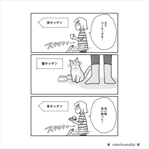 パブロフの猫