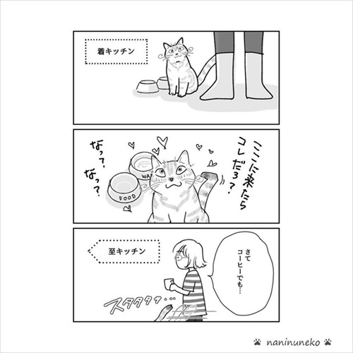 パブロフの猫
