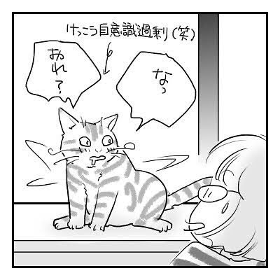 パブロフの猫