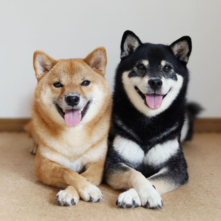 Xのみくりなちゃん