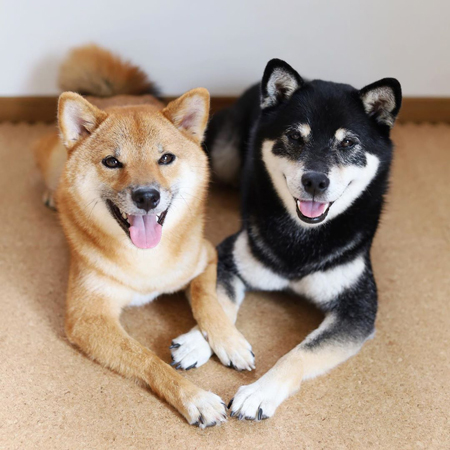 おててハートなみくりなちゃん