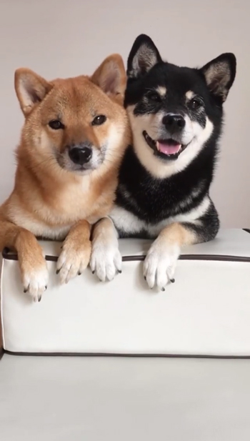 笑顔のみくちゃん