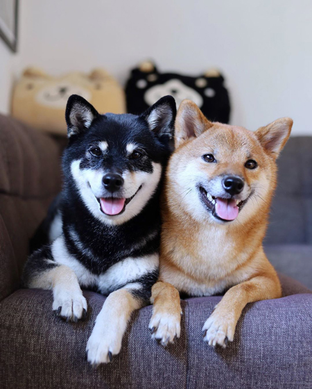 ソファでまったり