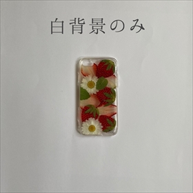 スマホで撮影