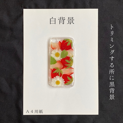 スマホで撮影