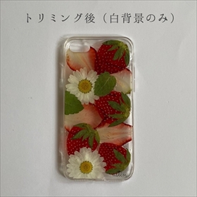 スマホで撮影