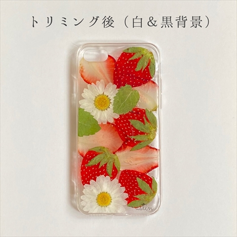 スマホで撮影