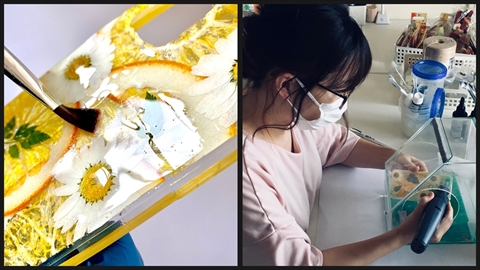 スマホで撮影