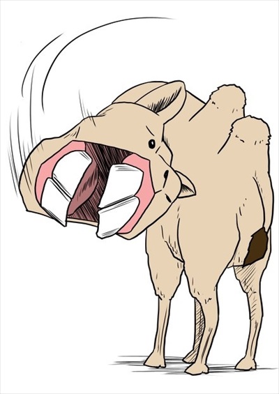 動物の絵クイズ