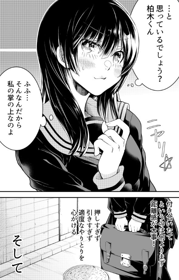 ツイッターまで完璧な彼女のはなし 漫画 塚本夢浩 Twitter 裏アカウント 鍵