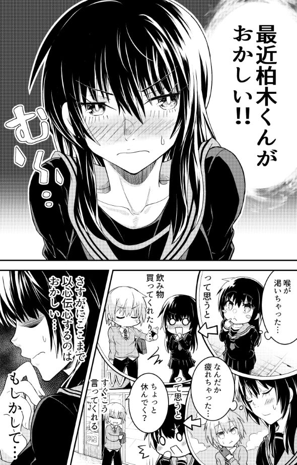 ツイッターまで完璧な彼女のはなし 漫画 塚本夢浩 Twitter 裏アカウント 鍵
