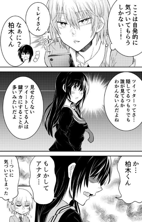 ツイッターまで完璧な彼女のはなし 漫画 塚本夢浩 Twitter 裏アカウント 鍵