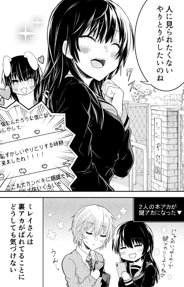 ツイッターまで完璧な彼女のはなし 漫画 塚本夢浩 Twitter 裏アカウント 鍵