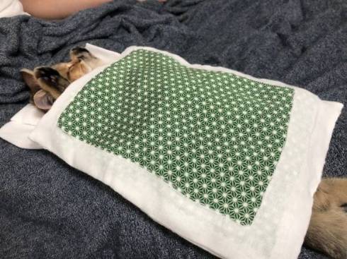 みにら君 みにら日記 フトン 猫