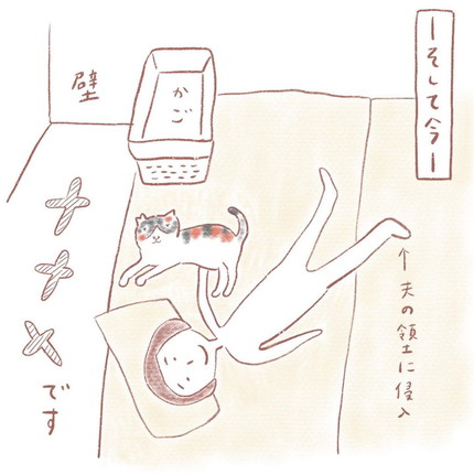 おかかちゃんファースト